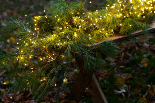 LED světelný řetěz Knirke (160 LED světýlek)