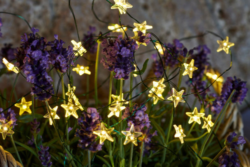 Sirius LED řetěz Trille Green 3,9m (40 LED světel)