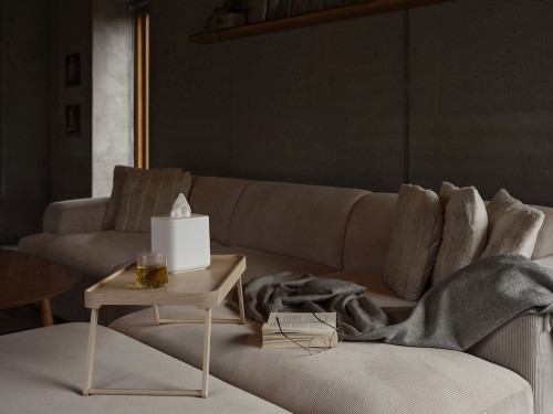 Box na kapesníky Ume White