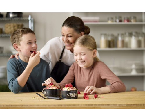 Sada mini dortových forem se stěrkou