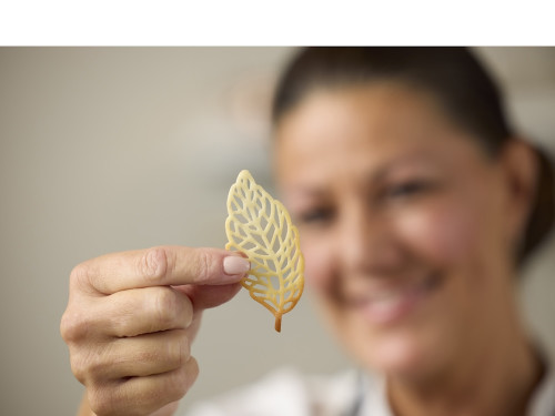 Silikonová forma na ozdoby čokoládové Lístky Latte