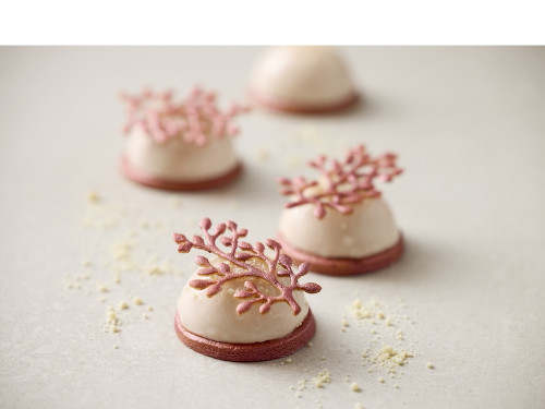 Silikonová forma na ozdoby čokoládové Větve Latte