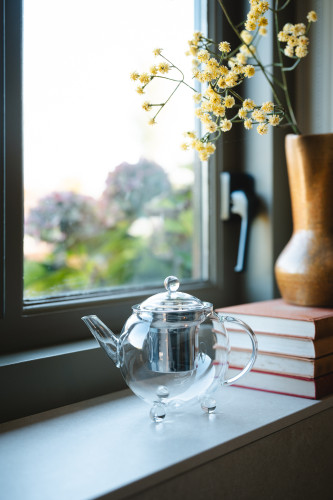 Jednostěnná konvička na čaj Bella Ronde 500 ml