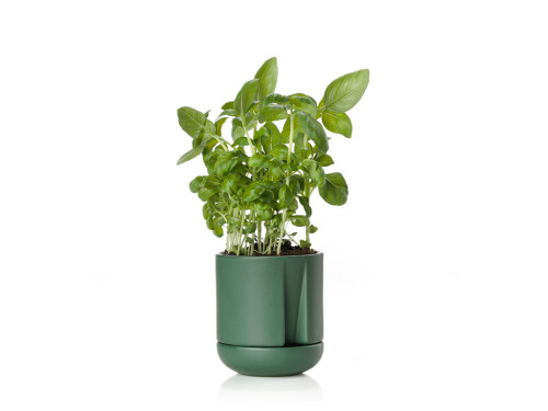 Zone Denmark Samozavlažovací květináč na bylinky Herb &amp; Sprout Jungle Green 10 x 11,6 cm