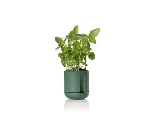 Zone Denmark Samozavlažovací květináč na bylinky Herb &amp; Sprout Jungle Green 10 x 11,6 cm