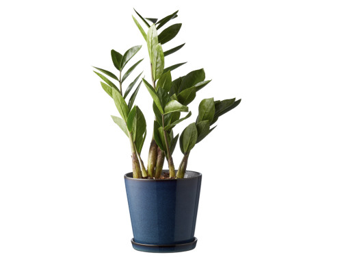 Květináč s podtáckem 14cm Dark Blue/Black